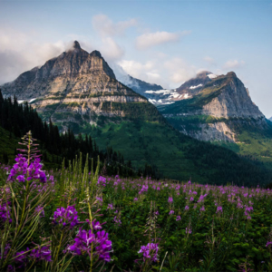 Glacier National Park - Whitefish, Montana