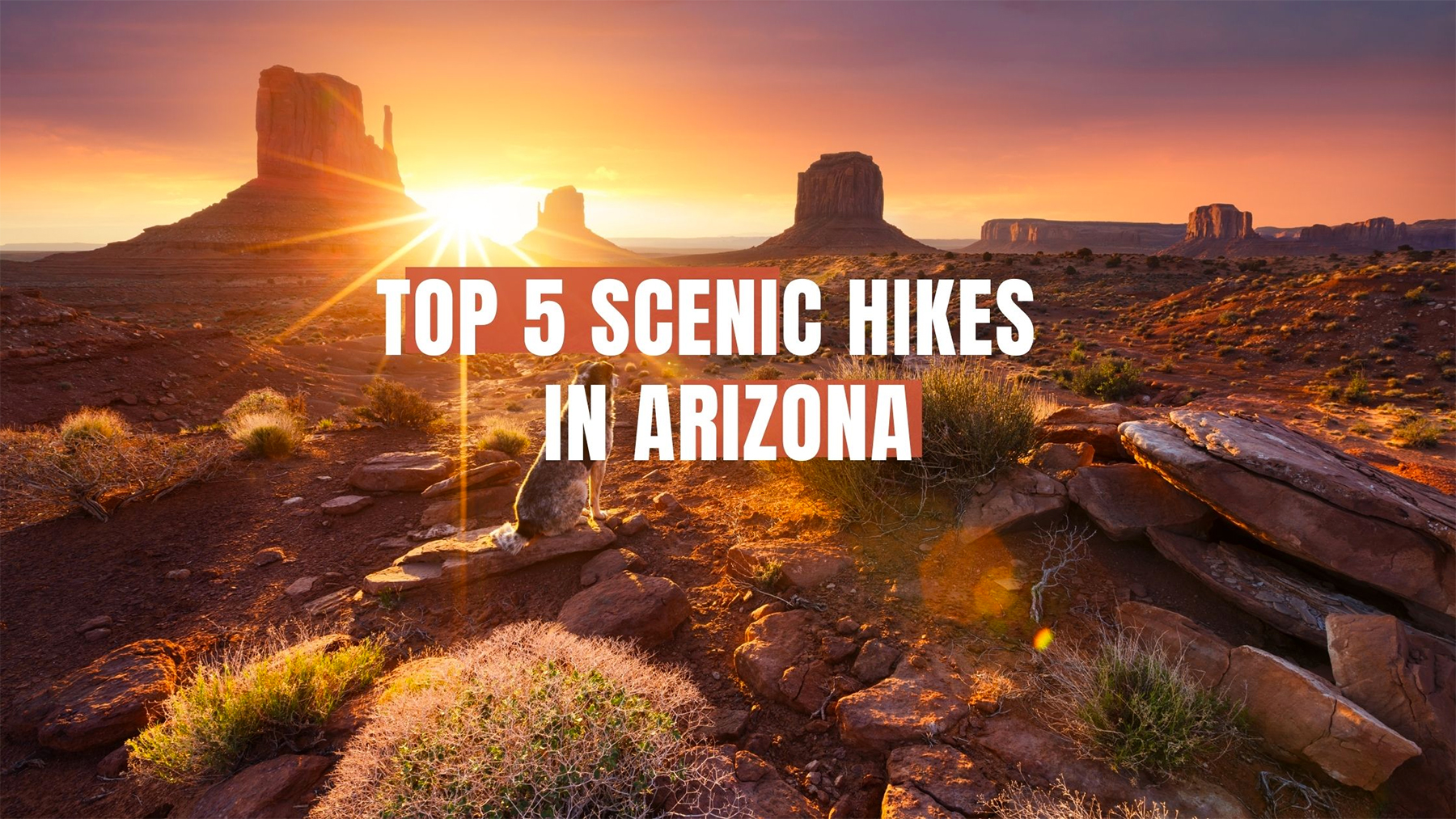Top 5 Scenic Hikes in Arizona