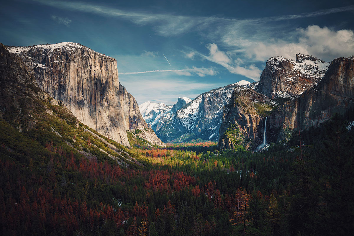 Yosemite + Kings Canyon + Sequoia