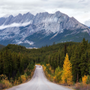 A car drives down a forested road towards mountain peaks in Glacier National Park