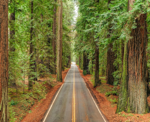 Northern California