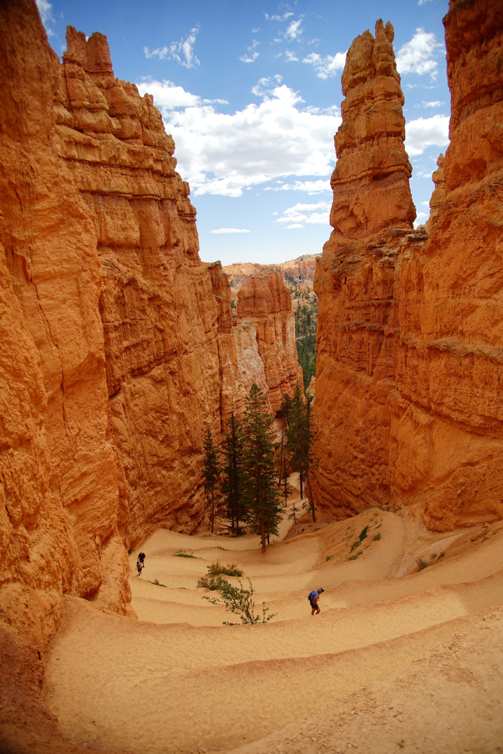 Hikers in a sand filled southwest canyon