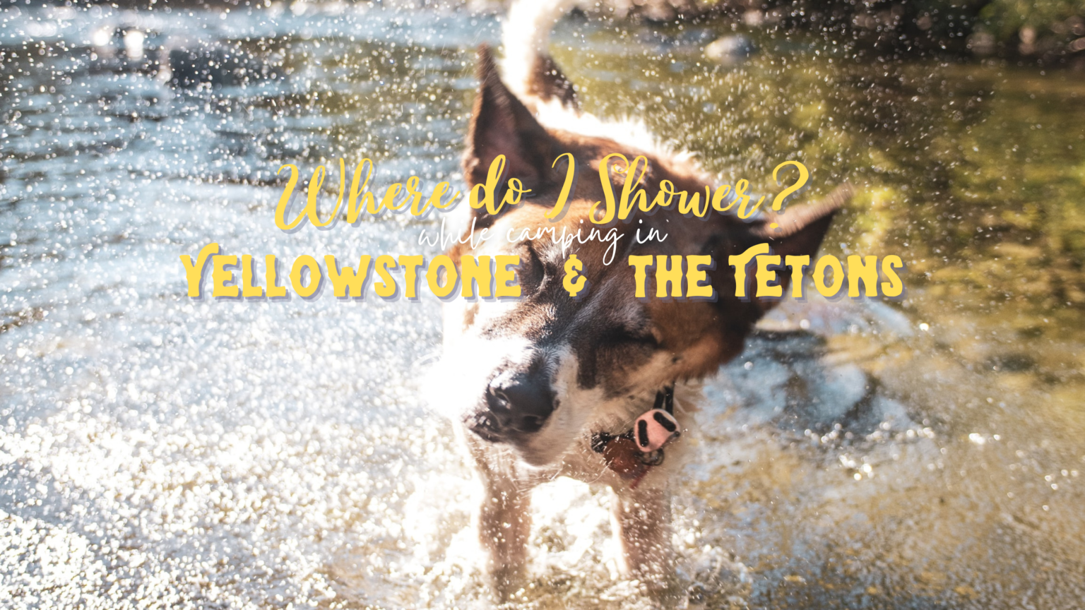 Where Do I Shower in Yellowstone and the Tetons Moterra Campervans