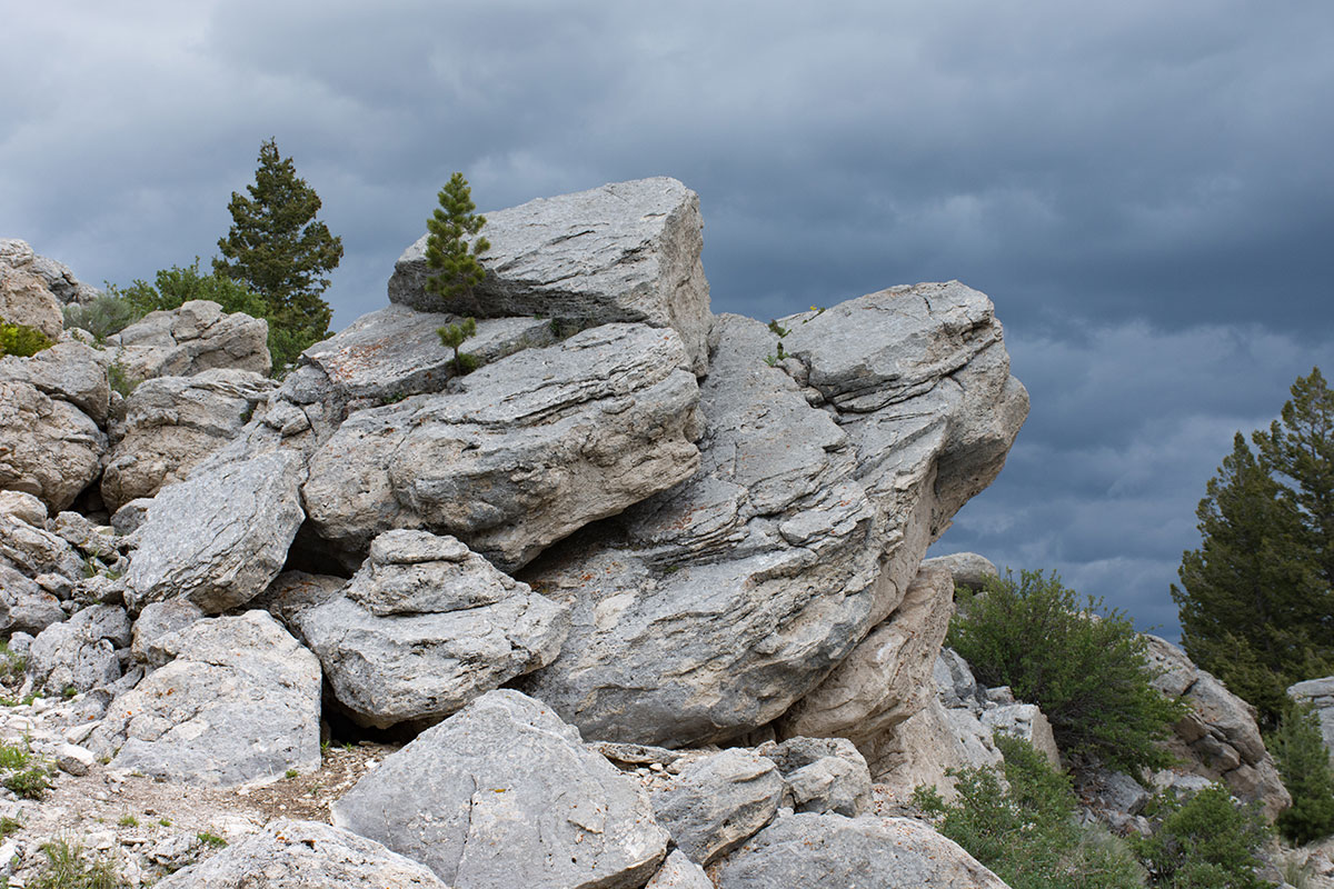 Rock Outcropping in Yellowstone National Park