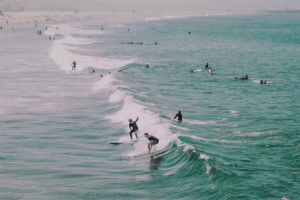 Surfers Catching Waves in Santa Cruz, California