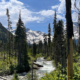 River Through Green Forest with Snow-Capped Mountains in Background