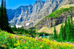 Mountains with Vibrant Wildflowers and Water Below in Glacier National Park, Montana