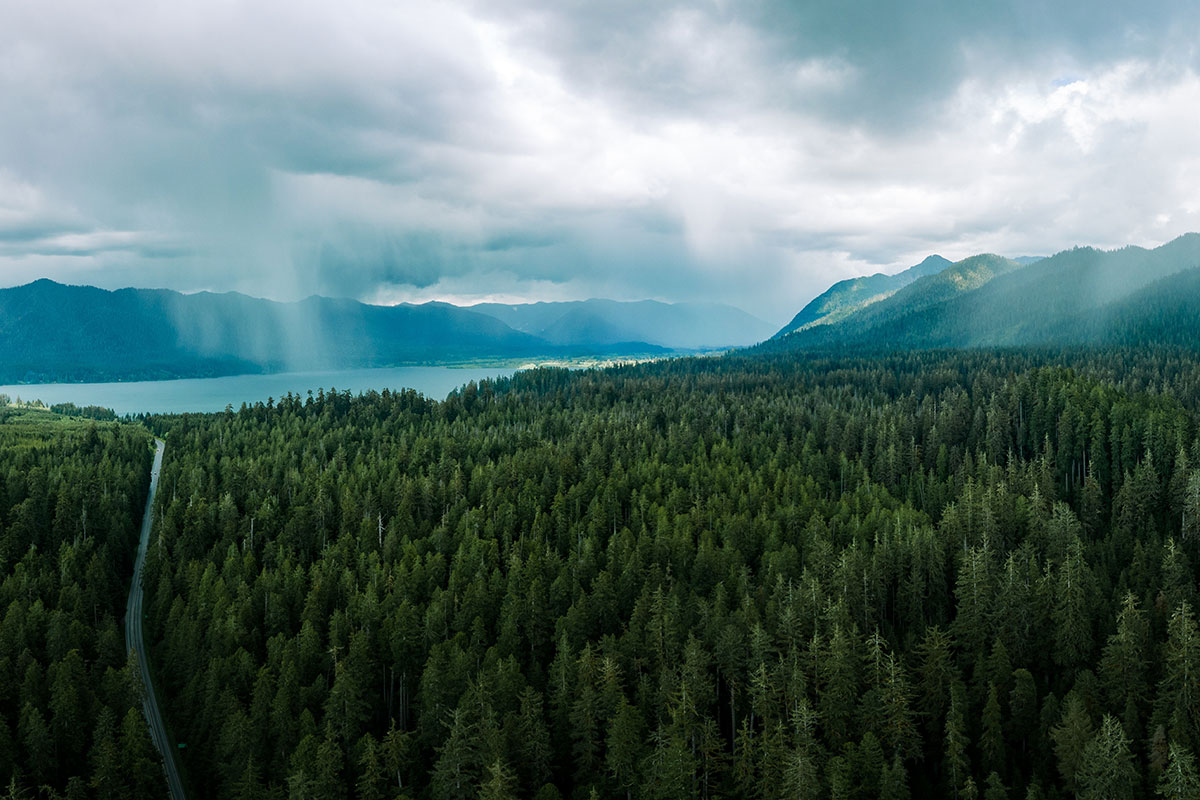Aerial View of Forest, Water and Mountains in Olympic National Park