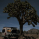 Moterra Campervan At Dusk in Joshua Tree National Park