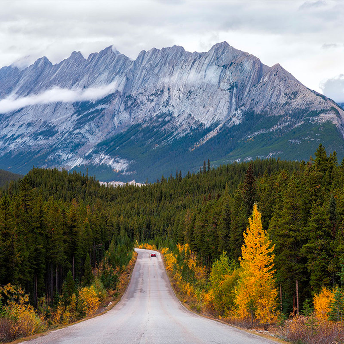 A Car Drives Down a Forested Road Toward Mountain Peaks in Glacier National Park