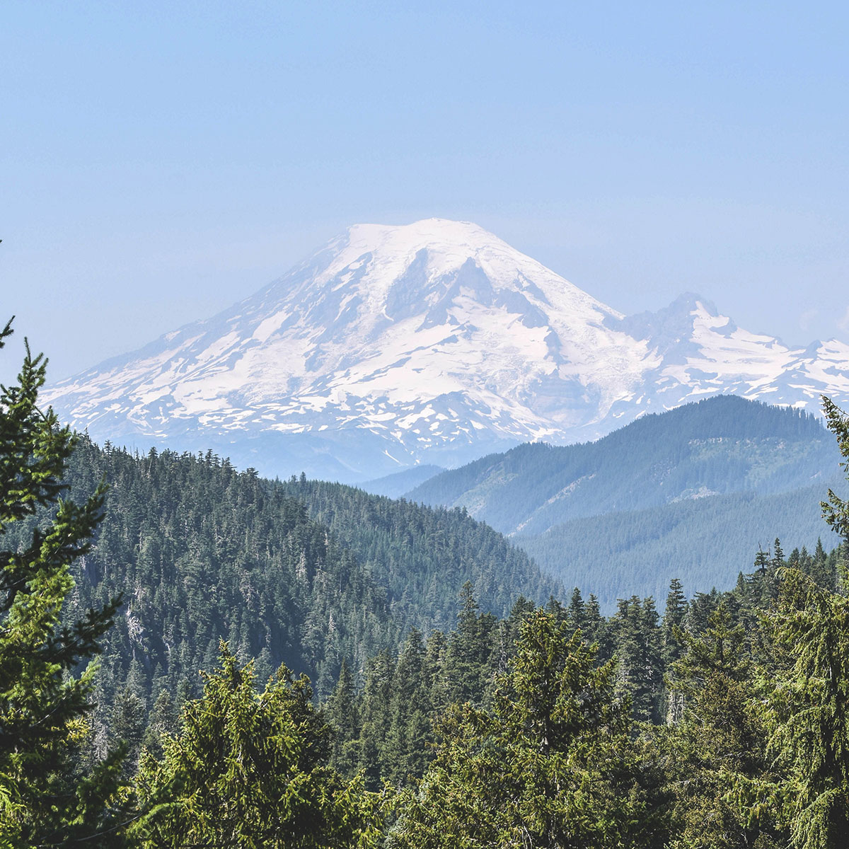 Mount Rainier Viewed from Forested Hills