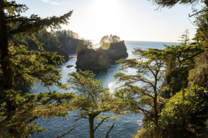 Cape Flattery in Olympic National Park