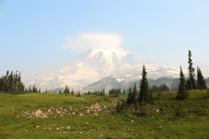 Mount Rainier Viewed from Green Meadow with Trees