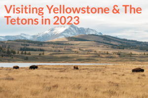 Visit Yellowstone