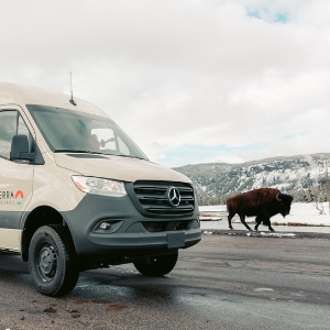 campervan driving along a road next to a bison in Wyoming