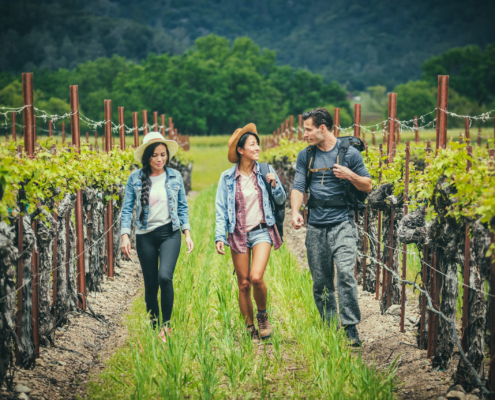 three friends walk through the vineyards of Napa Valley