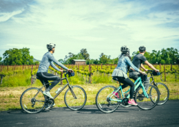 cycling the napa valley wine trail